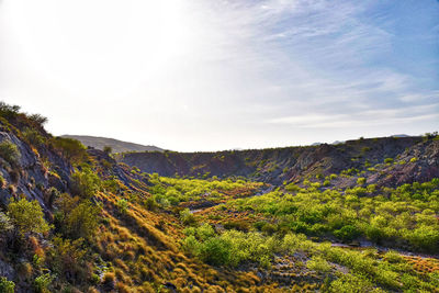 Scenic view of landscape against sky