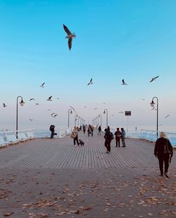 Birds flying over beach against sky