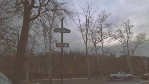 Road with trees in background