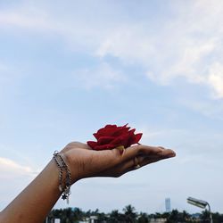 Close-up of hand holding red flowers against sky