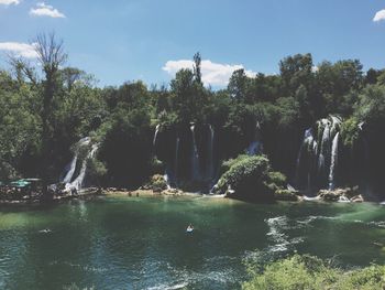 View of trees in calm river