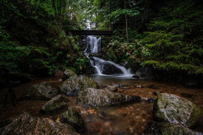 Scenic view of waterfall in forest