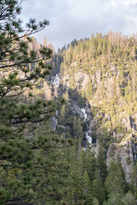 Scenic view of trees and mountains against sky