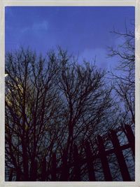 Silhouette bare trees against sky