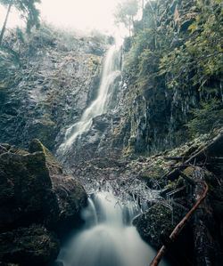 Scenic view of waterfall in forest