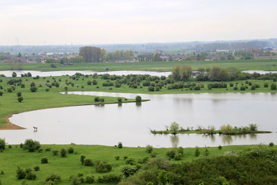 Scenic view of river and trees against sky