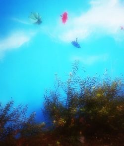 Scenic view of sea and trees against blue sky