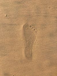 High angle view of footprints on sand