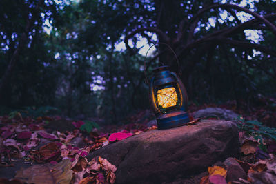 Close-up of illuminated lantern on rock by trees in forest