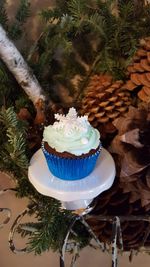 Close-up of cupcakes on plant