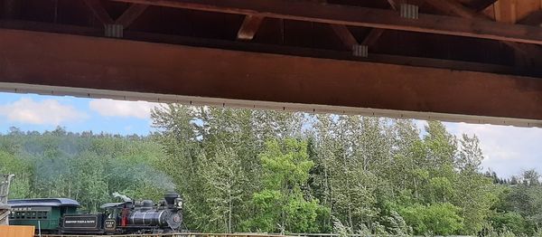 Panoramic view of railroad tracks amidst trees
