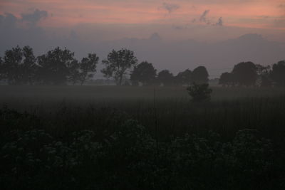 Scenic view of field against sky during sunset