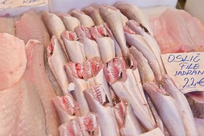 High angle view of seafood on ice at market