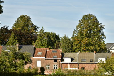 Plants and trees by house against sky