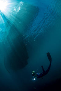 Scuba diving in sea
