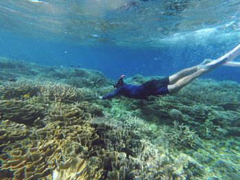 Man diving in gili petagan sea east lombok indonesia