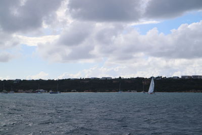 Sailboat sailing on sea against sky