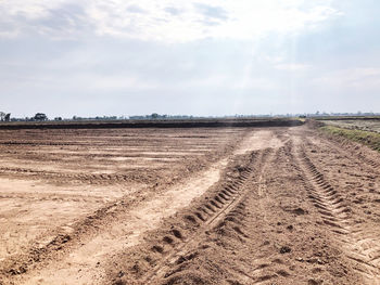 Tire tracks on dirt road