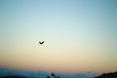 Scenic view of sky during sunset