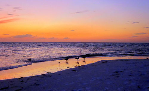 Scenic view of sea during sunset