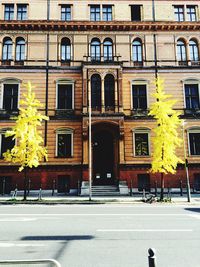 Buildings in city