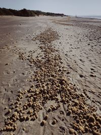 Footprints on sand at beach against sky