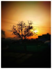 Silhouette tree against sky during sunset