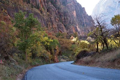 Road amidst trees and mountains