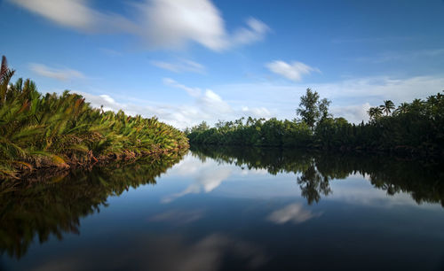 Reflection of trees in lake against sky