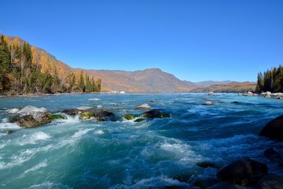 Scenic view of sea against clear blue sky