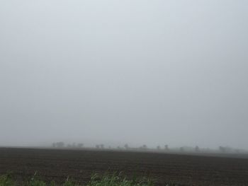 Scenic view of field against clear sky