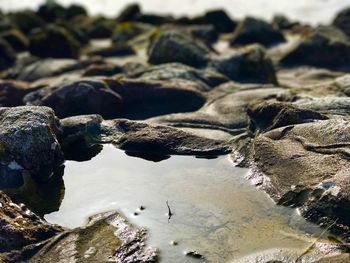 Close-up of water on beach