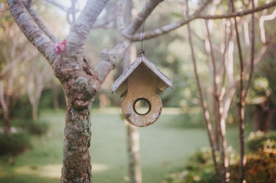 Close-up of birdhouse on tree