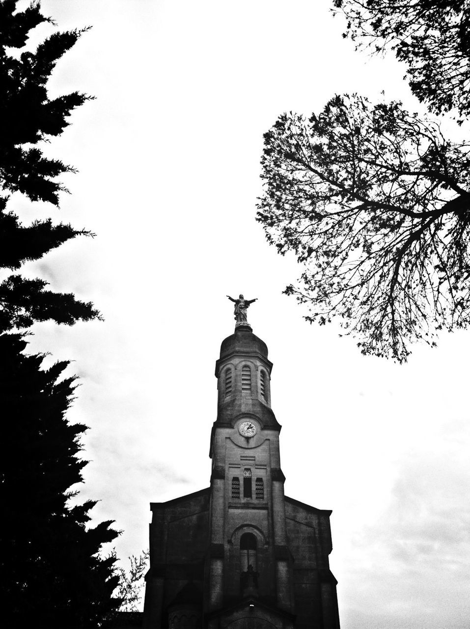 low angle view, building exterior, architecture, built structure, tree, clear sky, religion, church, sky, copy space, clock tower, place of worship, tower, high section, spirituality, history, bird, outdoors