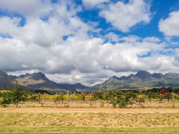 Scenic view of landscape against sky