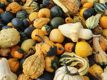 Full frame shot of pumpkins for sale at market