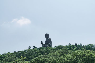 Low angle view of buddha statue and trees against clear sky