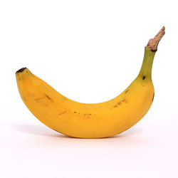 Close-up of fruit against white background