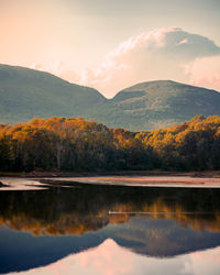 Seagull stopping to enjoy the scenic view of the mountain lake.