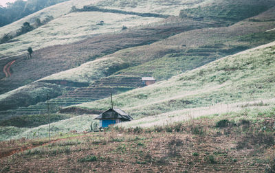 Scenic view of rural landscape