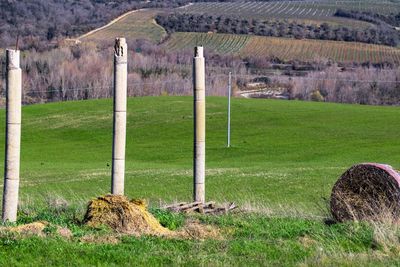 View of agricultural field