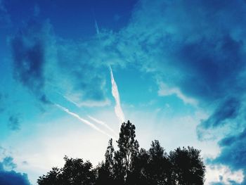 Low angle view of tree against blue sky