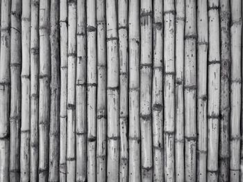 Full frame shot of bamboo