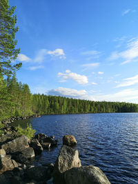 Sunny summer evening by the lake in central finland. 