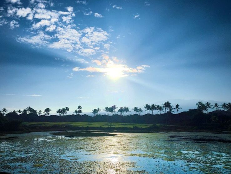 water, sky, tree, tranquil scene, tranquility, scenics, sun, beauty in nature, nature, sunlight, lake, reflection, waterfront, silhouette, blue, cloud - sky, sunbeam, idyllic, lens flare, river