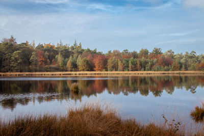 Beautiful panorama view of a bog lake in the netherlands,  park dwingelderveld, taken in autumn time
