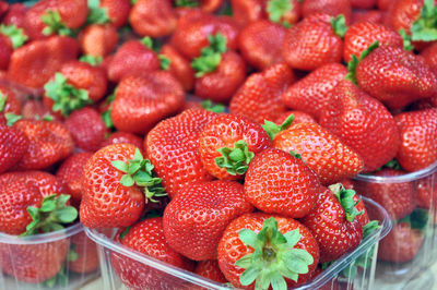 Close-up of fruits for sale in market