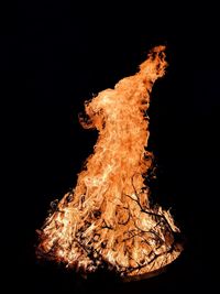 Close-up of bonfire against black background