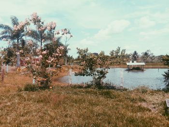 Scenic view of lake against sky