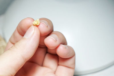 Close-up of hand holding small eggs